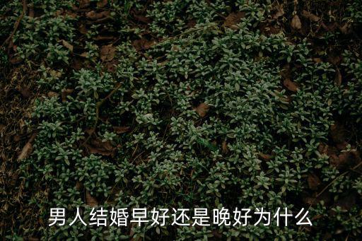 男人結婚早好還是晚好為什么