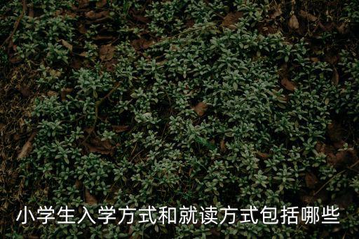 小學生入學方式和就讀方式包括哪些