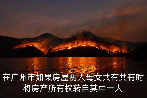 在廣州市如果房屋兩人母女共有共有時將房產所有權轉自其中一人