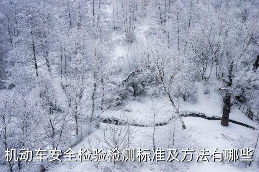 機(jī)動(dòng)車安全檢驗(yàn)檢測(cè)標(biāo)準(zhǔn)及方法有哪些