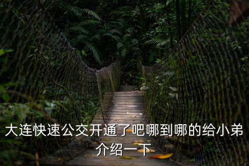 大連快速公交開通了吧哪到哪的給小弟介紹一下