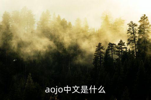 aojo中文是什么