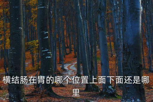橫結(jié)腸在胃的哪個(gè)位置上面下面還是哪里