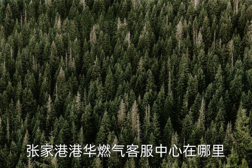 張家港港華燃氣客服中心在哪里