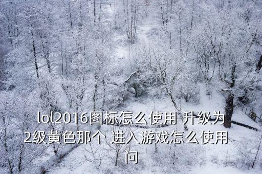 lol2016圖標怎么使用 升級為2級黃色那個 進入游戲怎么使用  問