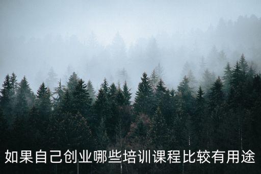 如果自己創(chuàng)業(yè)哪些培訓(xùn)課程比較有用途