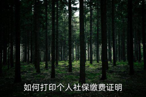 如何打印個人社保繳費(fèi)證明