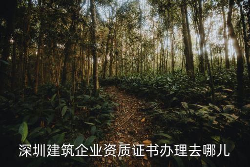 深圳住房和建設局，深圳市建設局和深圳市建筑工務局有什么不同