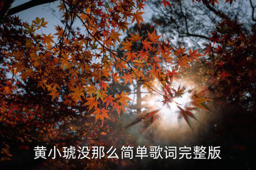 黃小琥沒那么簡單歌詞完整版