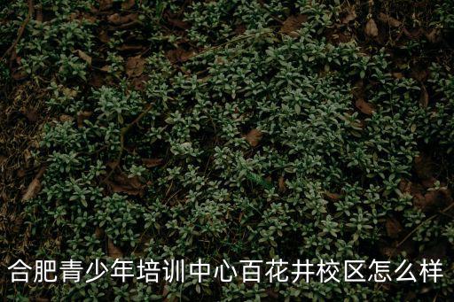 合肥青少年培訓中心百花井校區怎么樣