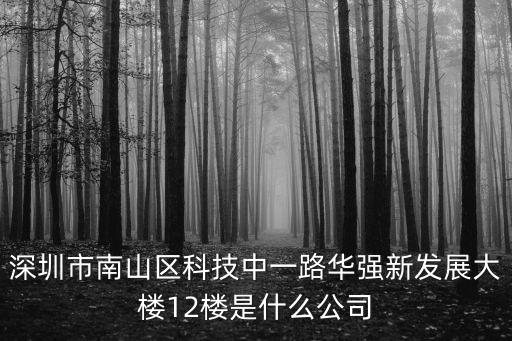深圳市南山區科技中一路華強新發展大樓12樓是什么公司
