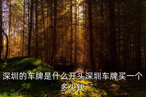 深圳牌照，深圳車牌是什么開頭