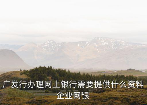 廣發(fā)行辦理網(wǎng)上銀行需要提供什么資料企業(yè)網(wǎng)銀