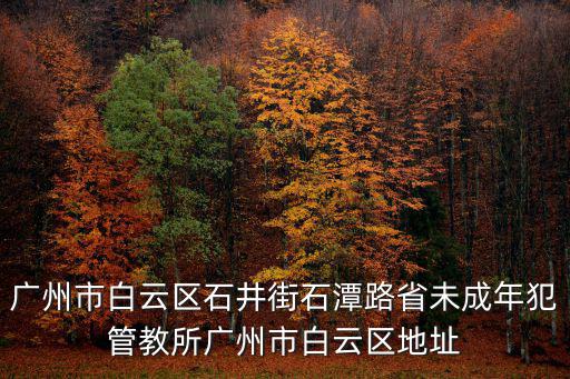 粵教翔云，周星馳的功夫一句對白我總是搞不明白這是什么掌法 你想學啊