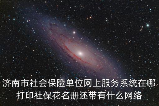 濟南市社會保險單位網上服務系統在哪打印社保花名冊還帶有什么網絡
