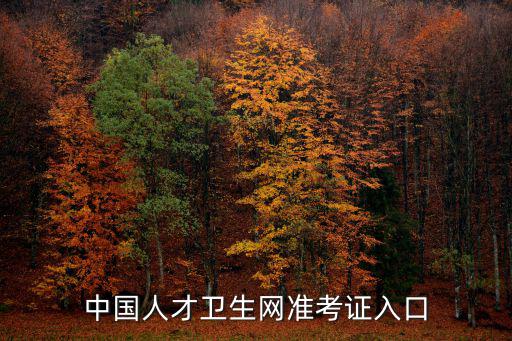 中國人才衛生網準考證入口