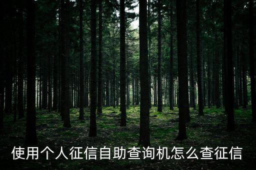 使用個人征信自助查詢機怎么查征信