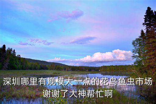 深圳哪里有規(guī)模大一點的花鳥魚蟲市場謝謝了大神幫忙啊