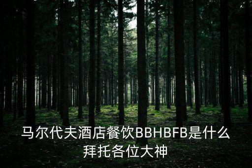 馬爾代夫酒店餐飲BBHBFB是什么拜托各位大神
