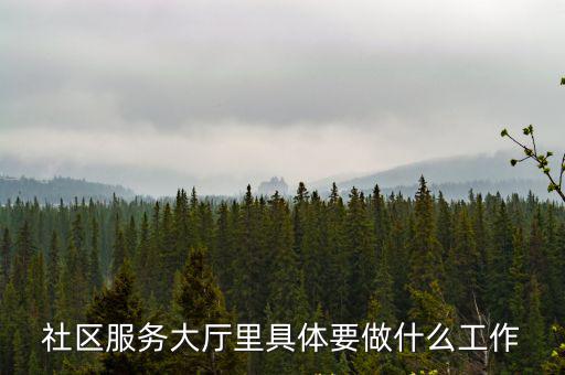 社區服務大廳里具體要做什么工作