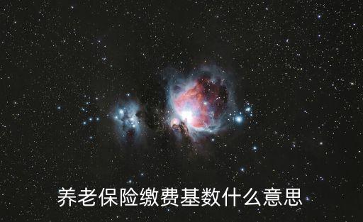 養老保險繳費基數什么意思