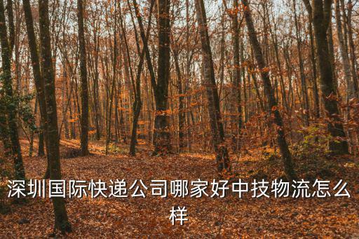 深圳國際快遞公司哪家好中技物流怎么樣
