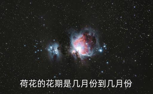 荷花的花期是幾月份到幾月份