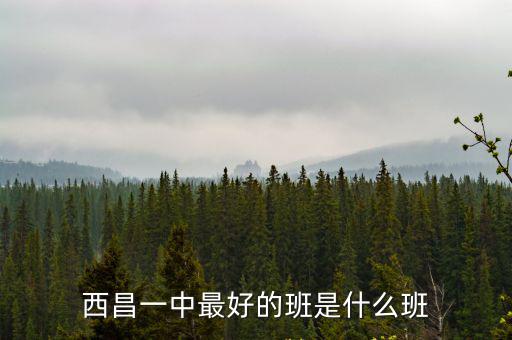 西昌一中最好的班是什么班