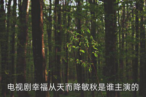 幸福從天而降演員表，電視劇幸福從天而降敏秋是誰主演的