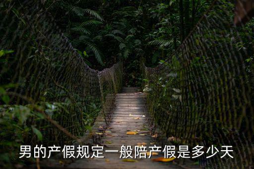男的產假規定一般陪產假是多少天