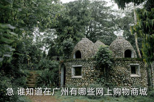 急 誰知道在廣州有哪些網(wǎng)上購物商城