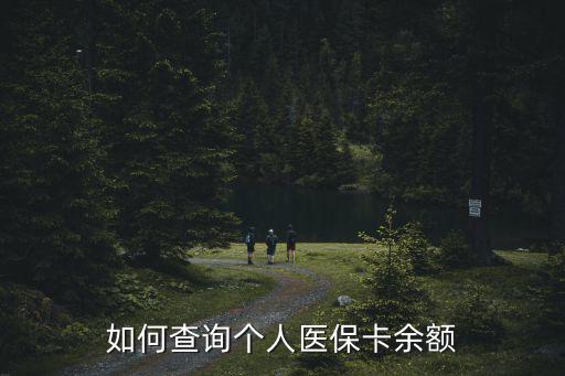 如何查詢個人醫(yī)保卡余額