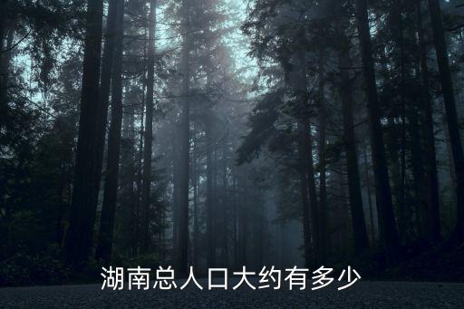 湖南有多少人口，湖南省人口多少萬