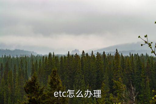 etc如何辦理，etc怎么辦理