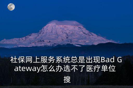 社會(huì)保險(xiǎn)網(wǎng)上服務(wù)系統(tǒng)，我在社會(huì)保險(xiǎn)網(wǎng)上服務(wù)系統(tǒng)上忘記了個(gè)人帳戶查詢密碼怎么辦