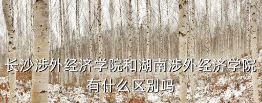 長沙涉外經(jīng)濟(jì)學(xué)院和湖南涉外經(jīng)濟(jì)學(xué)院有什么區(qū)別嗎