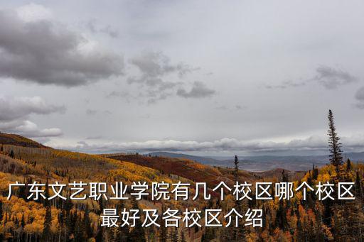 廣東文藝職業學院有幾個校區哪個校區最好及各校區介紹