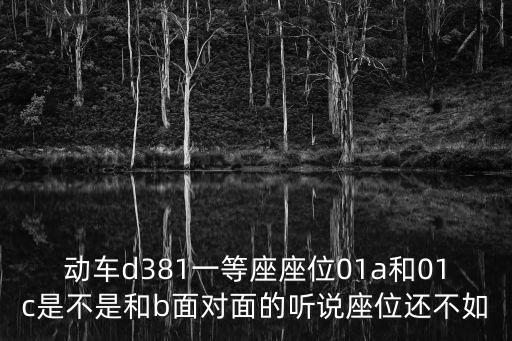 動(dòng)車(chē)d381一等座座位01a和01c是不是和b面對(duì)面的聽(tīng)說(shuō)座位還不如