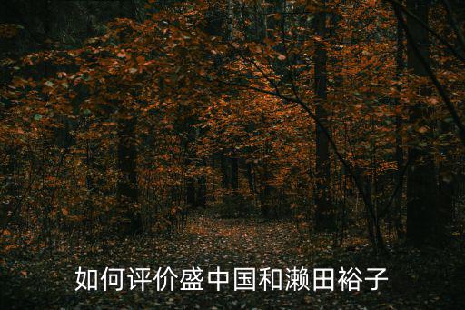 如何評價盛中國和瀨田裕子