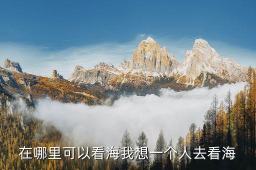 在哪里可以看海我想一個人去看海