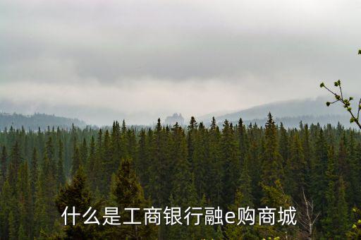 什么是工商銀行融e購商城