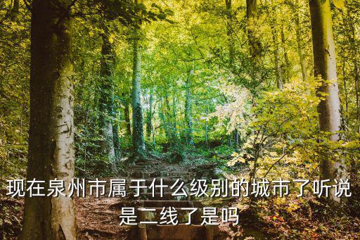 新二線城市，什么是新二線城市