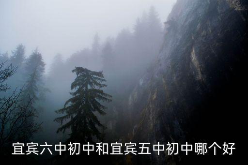 宜賓六中初中和宜賓五中初中哪個好