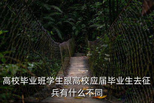 高校畢業(yè)生，什么是高校畢業(yè)生