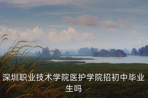 深圳職業(yè)技術學院醫(yī)護學院招初中畢業(yè)生嗎