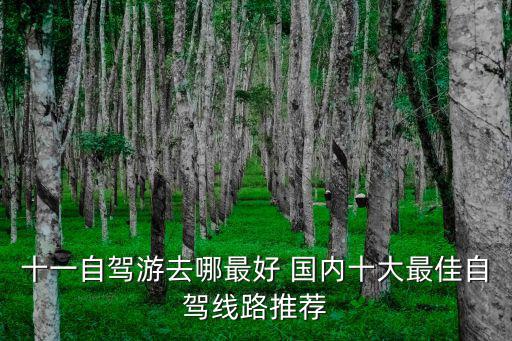 國慶自駕游，十一自駕游去哪最好 國內(nèi)十大最佳自駕線路推薦