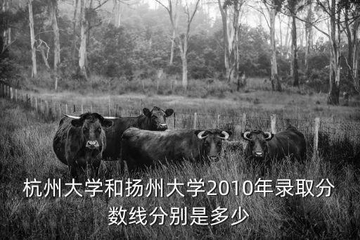杭州大學和揚州大學2010年錄取分數(shù)線分別是多少