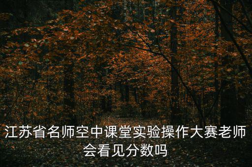 江蘇省名師空中課堂，2011年有什么選秀的適合18歲以上的男孩