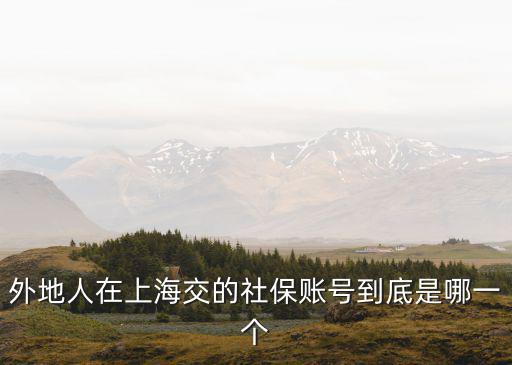 外地人在上海交的社保賬號到底是哪一個