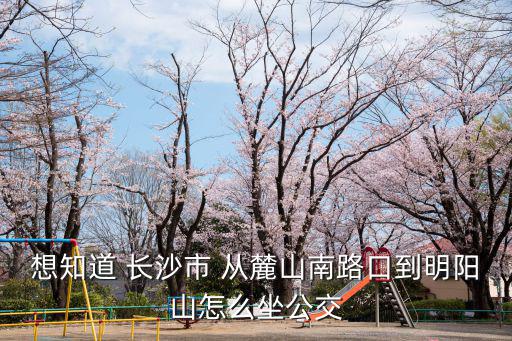 想知道 長沙市 從麓山南路口到明陽山怎么坐公交